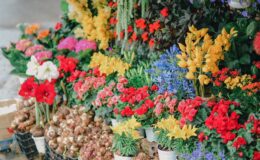 assorted flowers on crates