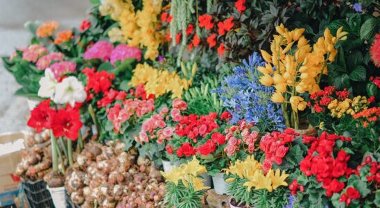 assorted flowers on crates