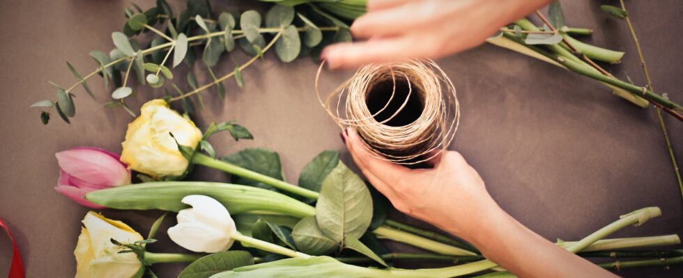 person s hand near flowers