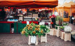 sunflowers on rack with price tag near orange canopy tent