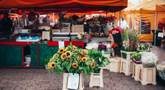 sunflowers on rack with price tag near orange canopy tent