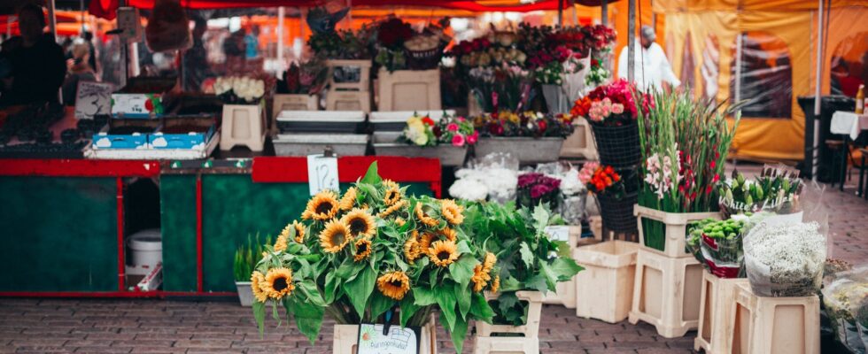 sunflowers on rack with price tag near orange canopy tent