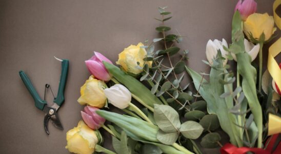 colorful flowers bouquet near pruning scissors