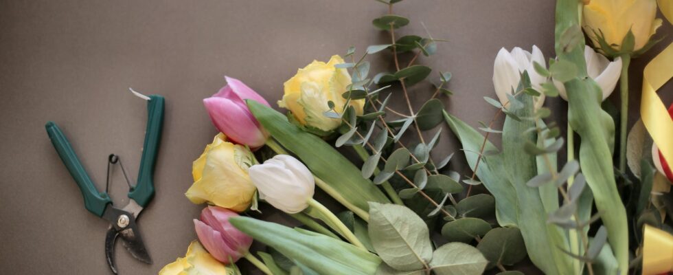 colorful flowers bouquet near pruning scissors