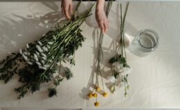 person holding green and white plant