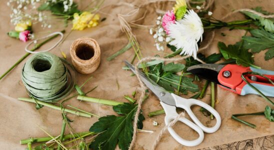 pruners and scissors together with twine in florist shop