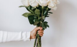 white roses in hand of crop person against white background