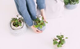 person in blue sweater holding green potted plant