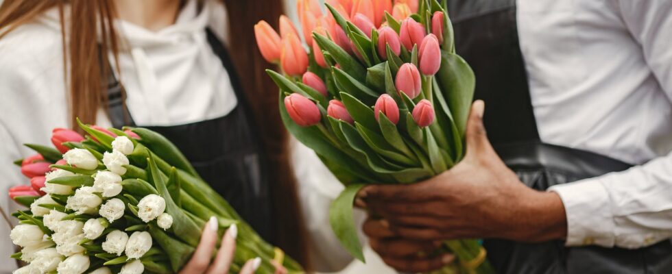 woman in black apron holding white and pink tulips