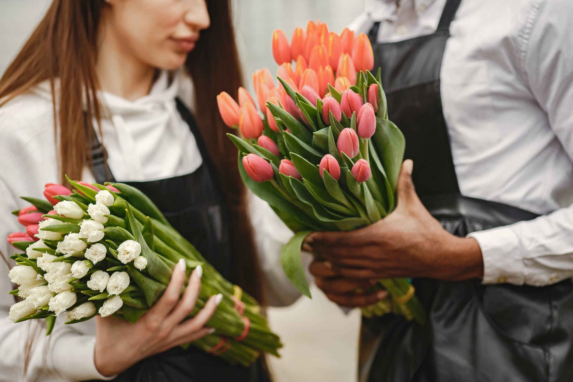 woman in black apron holding white and pink tulips