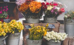 photo of flowers on bucket