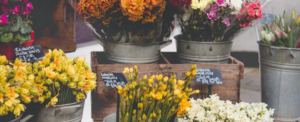 photo of flowers on bucket