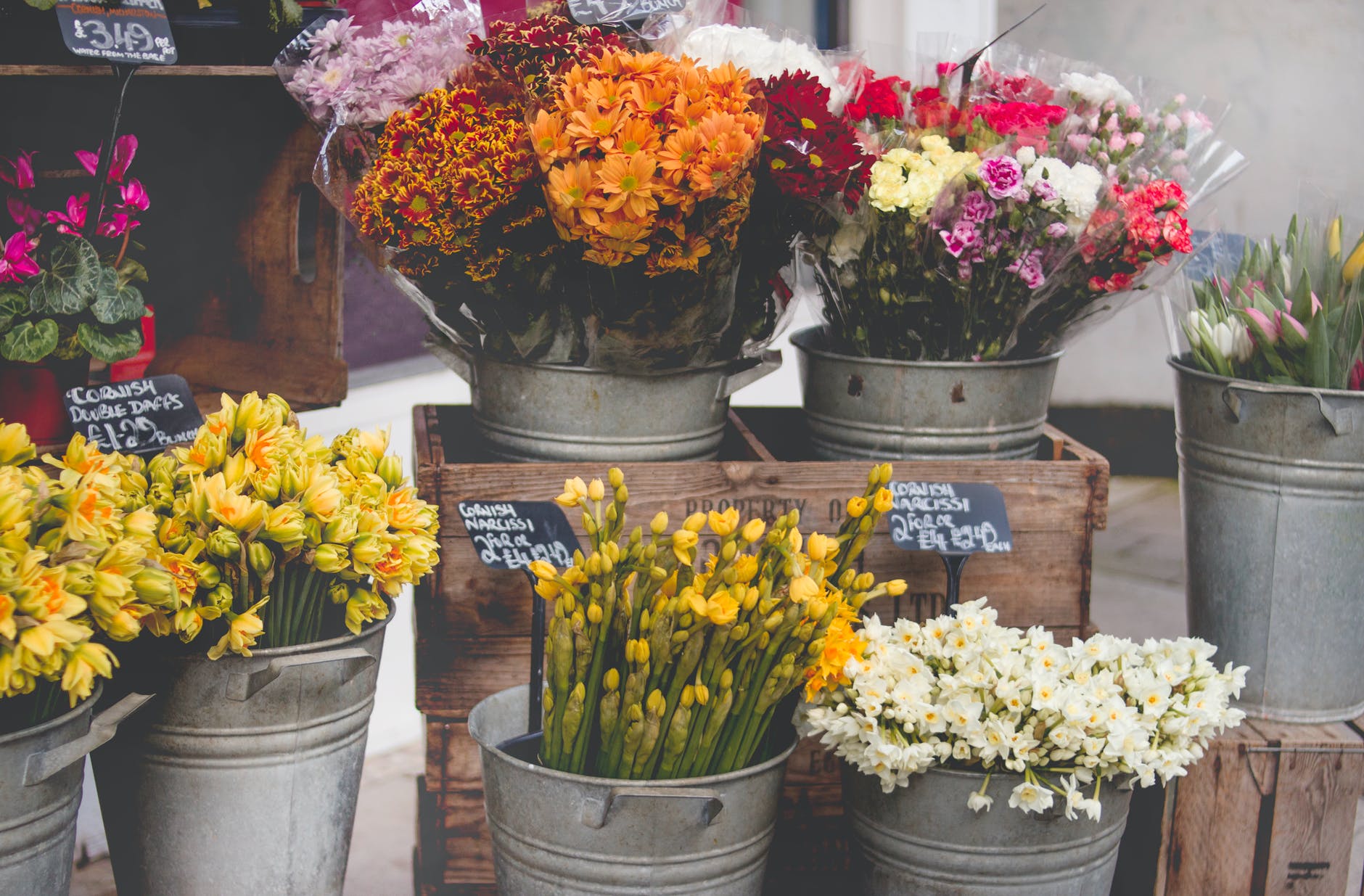 photo of flowers on bucket