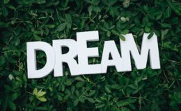 dream text on green leaves