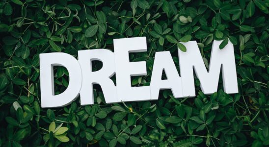 dream text on green leaves