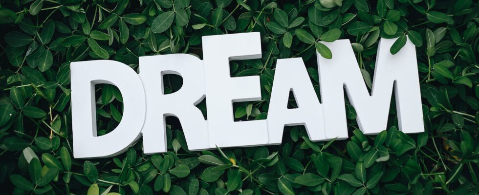 dream text on green leaves