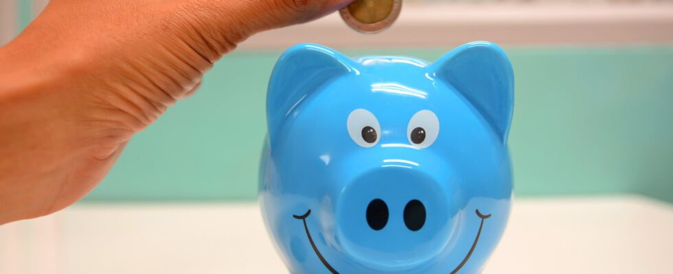 person putting coin in a piggy bank