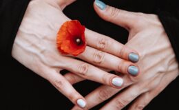 person holding red petaled flower between his finger