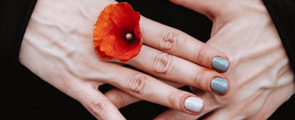 person holding red petaled flower between his finger