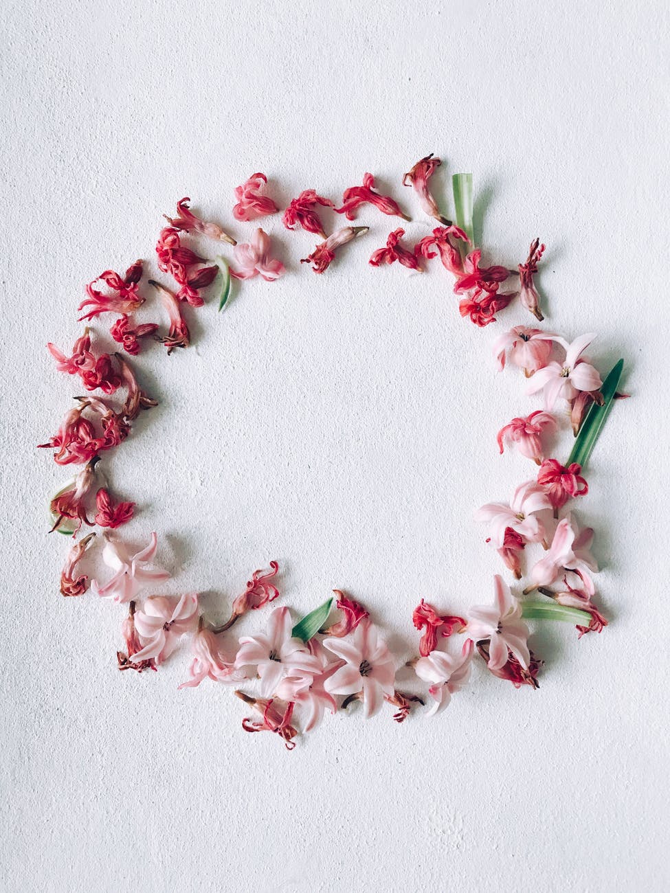 red and pink flower wreath