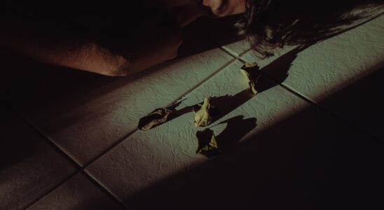 person sleeping beside dead leaves