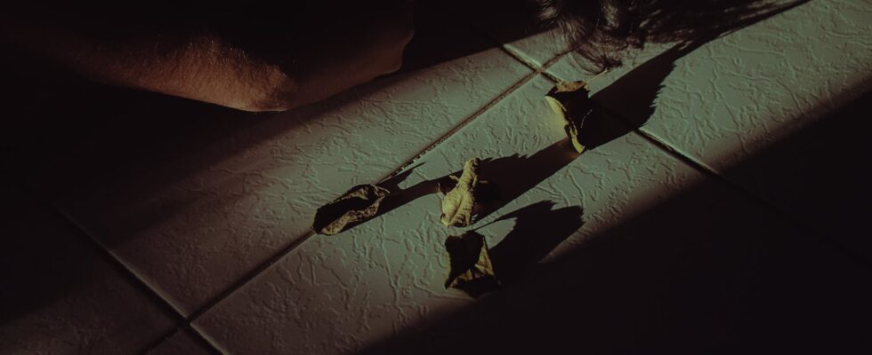 person sleeping beside dead leaves